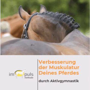 Verbesserung der Muskulatur Deines Pferdes durch Aktivgymnastik